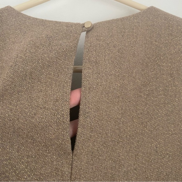 NWT Banana Republic Sleeveless Box Pleat Top Tan with Gold - Picture 7 of 8